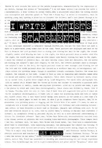 I Write Artist Statements cover