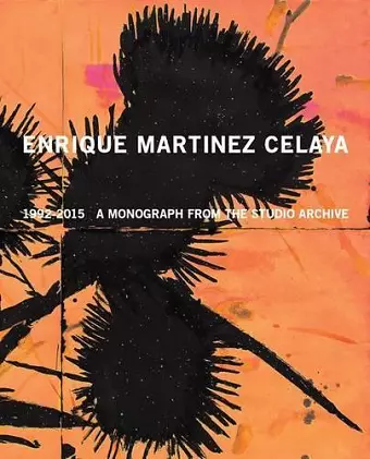 Enrique Martínez Celaya: 1990–2015 cover