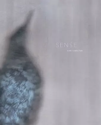 Ann Hamilton: Sense cover