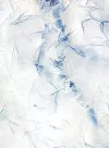 Meghann Riepenhoff: Ice cover