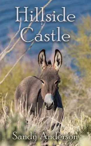 Hillside Castle cover