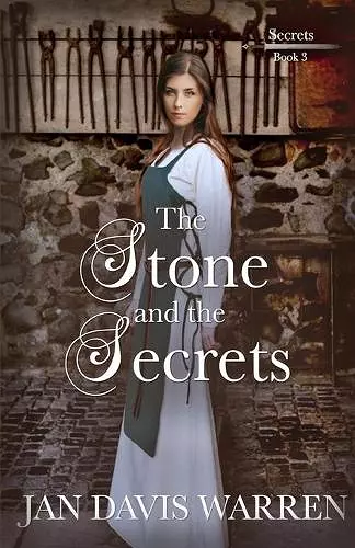 The Stone and the Secrets cover