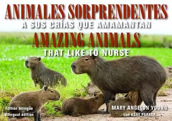 Animales Sorprendentes / Amazing Animals - English & Spanish Bilingual Edition cover