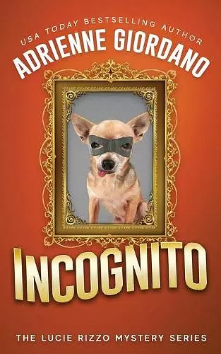 Incognito cover