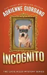 Incognito cover