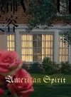 Roe Ethridge - American Spirit cover