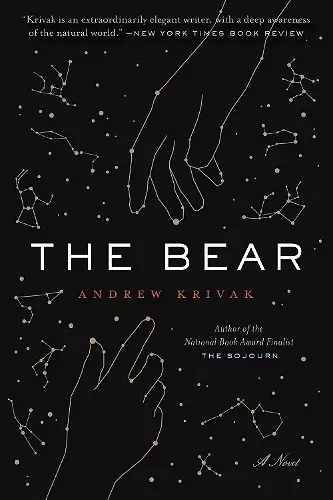 The Bear cover