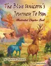 The Blue Unicorn's Journey To Osm Illustrated Book cover