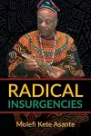 Radical Insurgencies cover