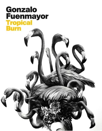 Gonzalo Fuenmayor: Tropical Burn cover