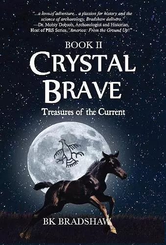 Crystal Brave cover