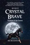 Crystal Brave cover