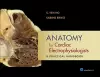 Anatomy for Cardiac Electrophysiologists cover