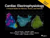 Cardiac Electrophysiology , Second Edition cover