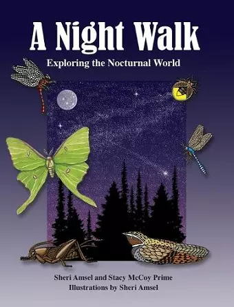 A Night Walk cover