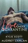 Love Under Quarantine cover