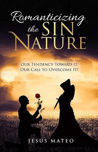 Romanticizing the Sin Nature cover