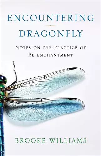 Encountering Dragonfly cover