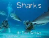 Sharks at Your Service cover