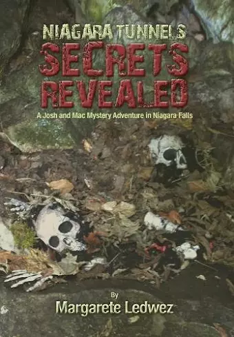 Niagara Tunnels Secrets Revealed cover