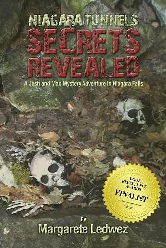 Niagara Tunnels Secrets Revealed cover