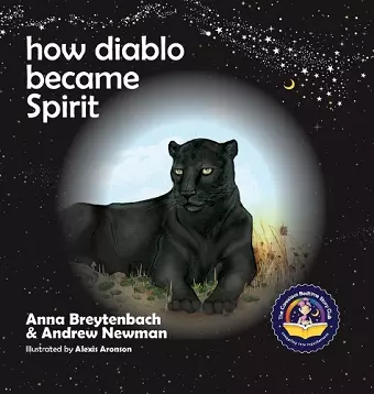 How Diablo Became Spirit cover