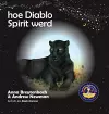 Hoe Diablo Spirit werd cover