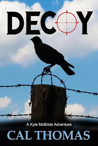 Decoy cover