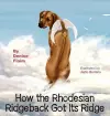 How The Rhodesian Ridgeback Got Its Ridge cover