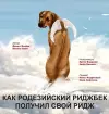 КАК РОДЕЗИЙСКИЙ РИДЖБЕК ПОЛУЧИЛ СВОЙ РИД&#1046 cover