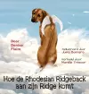 Hoe de Rhodesian Ridgeback aan zijn Ridge komt cover