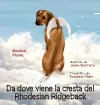 Da dove viene la cresta del Rhodesian Ridgeback cover