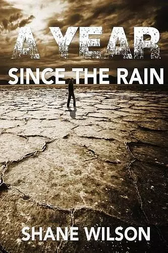 A Year Since The Rain cover