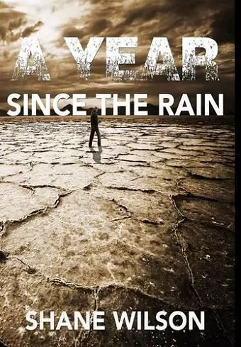 A Year Since The Rain cover