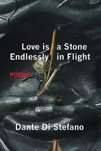 Love Is a Stone Endlessly in Flight cover