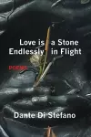 Love Is a Stone Endlessly in Flight cover