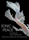 Sonic Peace cover