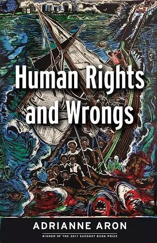 Human Rights and Wrongs cover