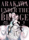 Arakawa Under The Bridge, 3 cover