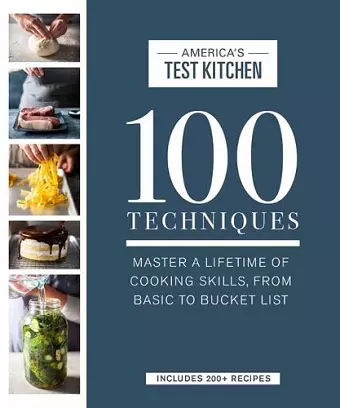 100 Techniques cover