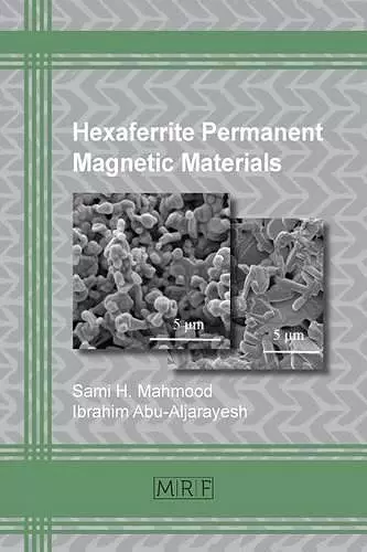 Hexaferrite Permanent Magnetic Materials cover