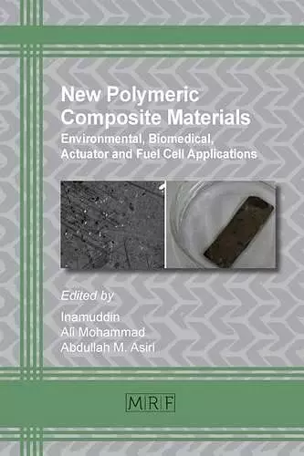 New Polymeric Composite Materials cover