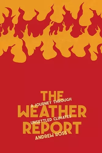The Weather Report cover