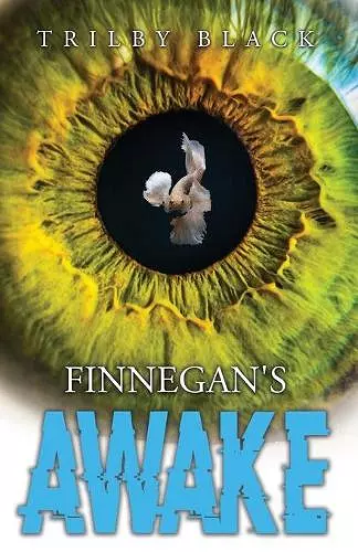 Finnegan's Awake cover