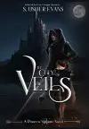 The City of Veils cover
