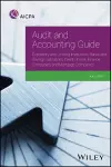 Audit and Accounting Guide Depository and Lending Institutions cover