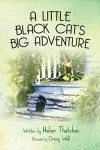 A Little Black Cat's Big Adventure cover