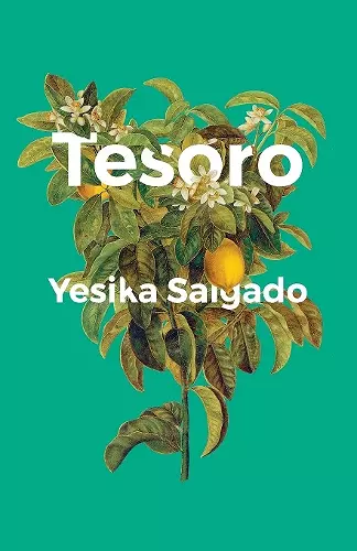 Tesoro cover