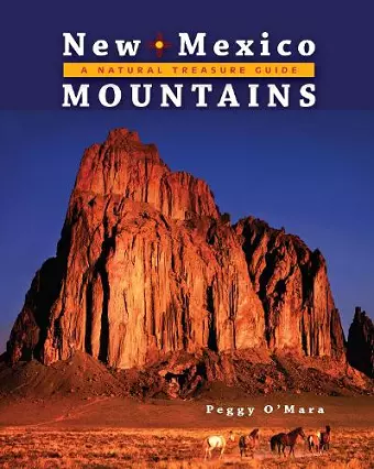 New Mexico Mountains: A Natural Treasure Guide cover