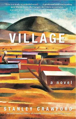 Village: a novel cover